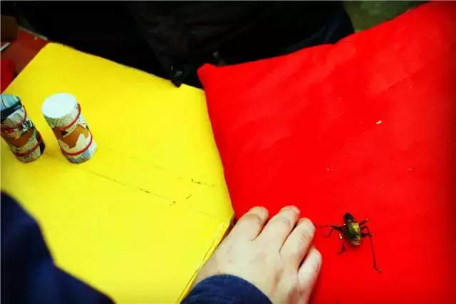 天津淘宝街搬哪去了,天津淘宝街地址有哪些