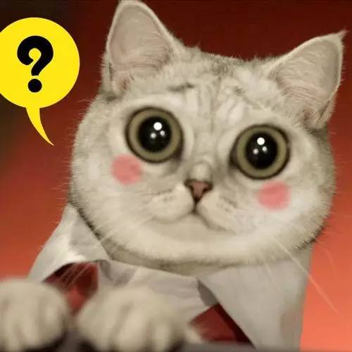 如何评价力哥说理财,力哥说理财是真是假