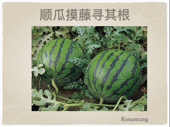 瑜伽经络十二法,唐一杰经络瑜伽