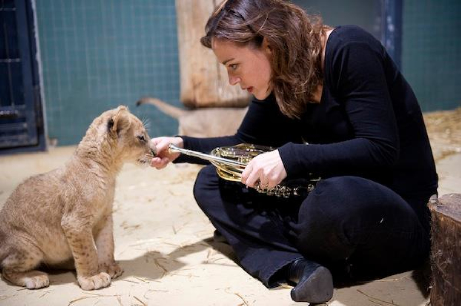 做核磁共振半道跑出来的多吗,做核磁共振途中为什么要推针水
