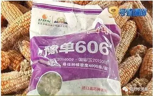 楂樹环鐜夌背绉嶅瓙,闇夊彉鐜夌背鍘傚