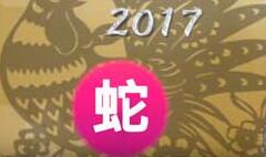 鸡年蛇的运势及运程,鸡年蛇运程每月运势