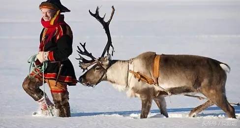 去芬兰留学的真实感受,留学芬兰本科全攻略