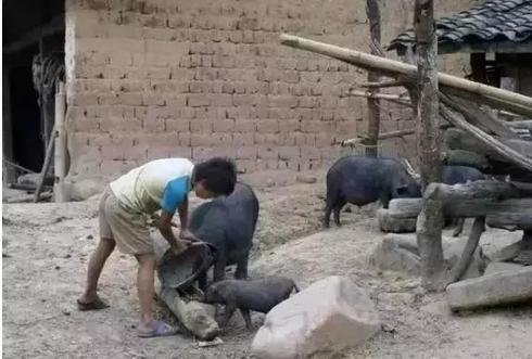 农村的孩子早当家大概意思,为什么说农村孩子早当家