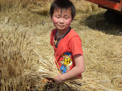 农村的孩子早当家大概意思,为什么说农村孩子早当家