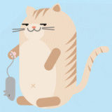 你玩过毁三观真心话大冒险是什么?