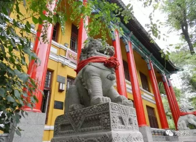 家长挤破头脑让孩子读重点学校,为什么家长挤破头进公立园