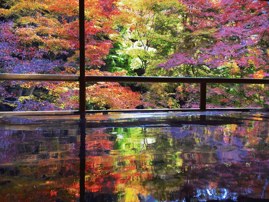 吃货旅游必去的十大地方,中国必去的吃货旅游胜地