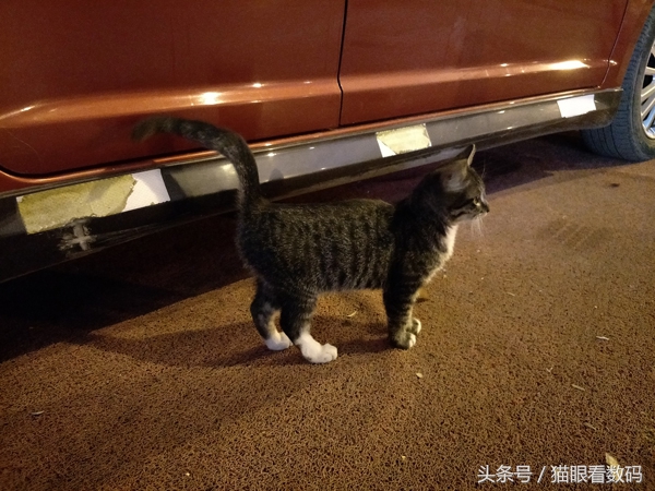 oppor9s和plus哪个好用,oppor9s和plus哪个值得买