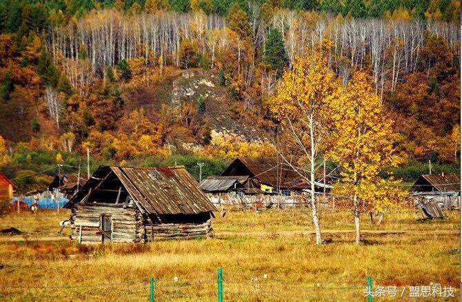 我的旅行记内蒙古,我的旅行日志完整版