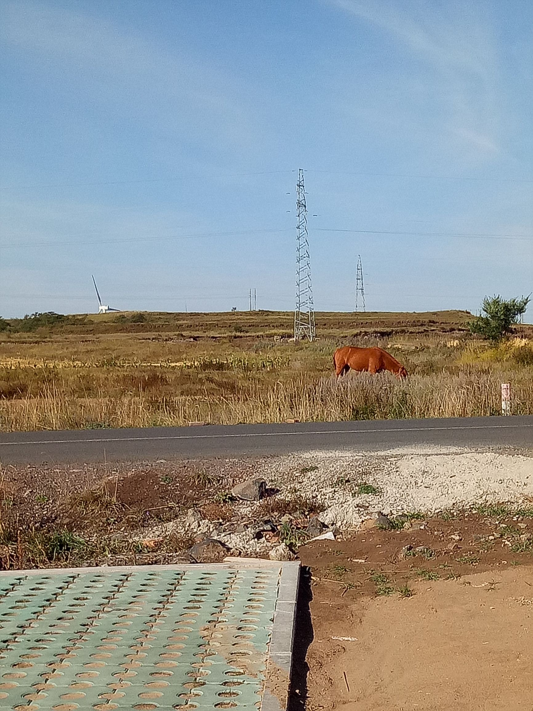 张北的草原天路之旅,张北天路攻略