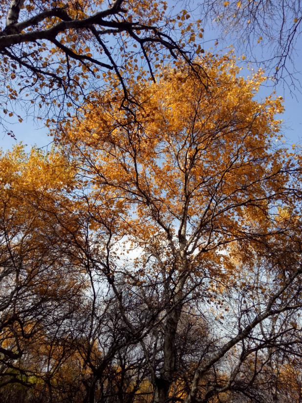 张北的草原天路之旅,张北天路攻略