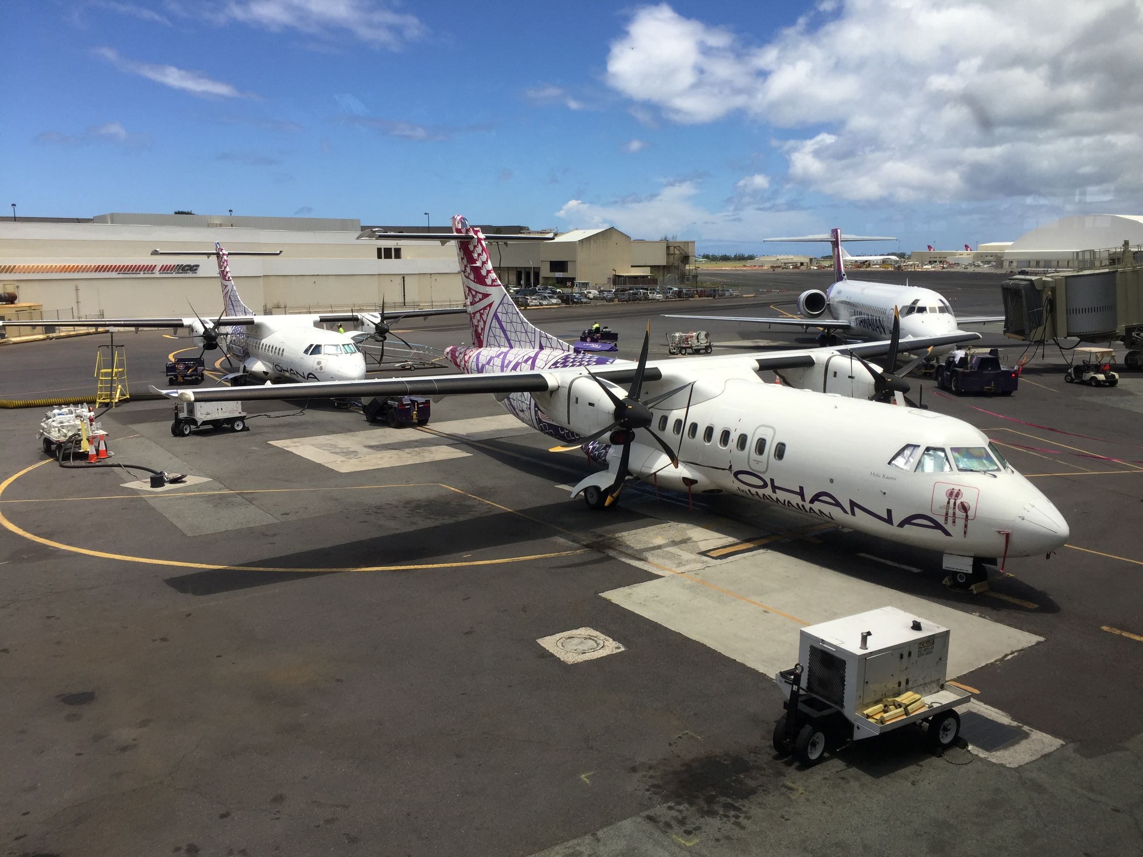 宝爸旅行日记,宝爸陪孕日记