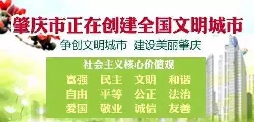 他家的木板堪称“钢板”?你们相信吗?