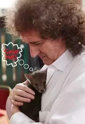 全世界都听过他的歌，但你肯定不知道他是天体物理学家和大学校长