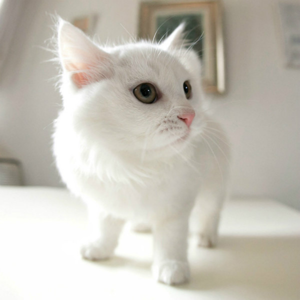 你的2016年,收获了哪些?是否只剩下抱怨呢?