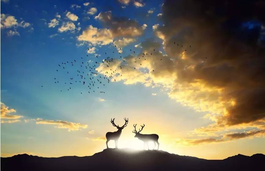 一个深度足彩彩民的2016年度盘点