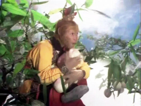 许真人向玉帝报告,许真人为什么打悟空