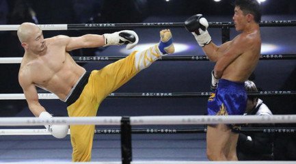 一龙挑战八极拳吴大伟,一龙敢拿兵器和陈师行吗