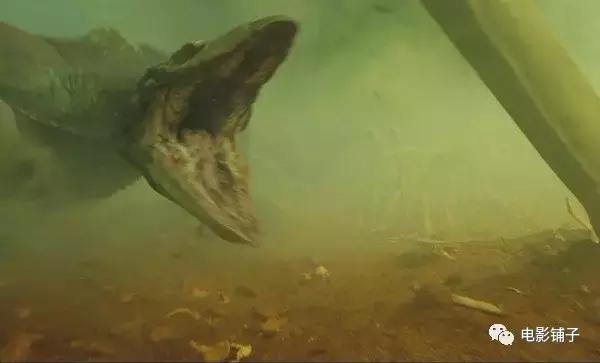 被2017的大片阵容吓哭，心疼钱包ing...