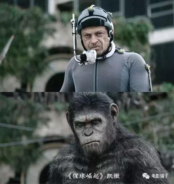 被2017的大片阵容吓哭，心疼钱包ing...