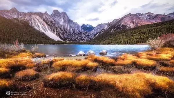 投稿|为什么摄影师被盗图就集体炸毛?