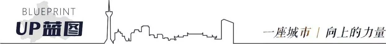 城西记|再造双楠,它真的是众望所归?