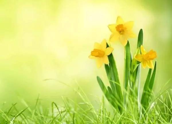 微商早安心语正能量一句话简短,微商朋友圈早安心语正能量图片