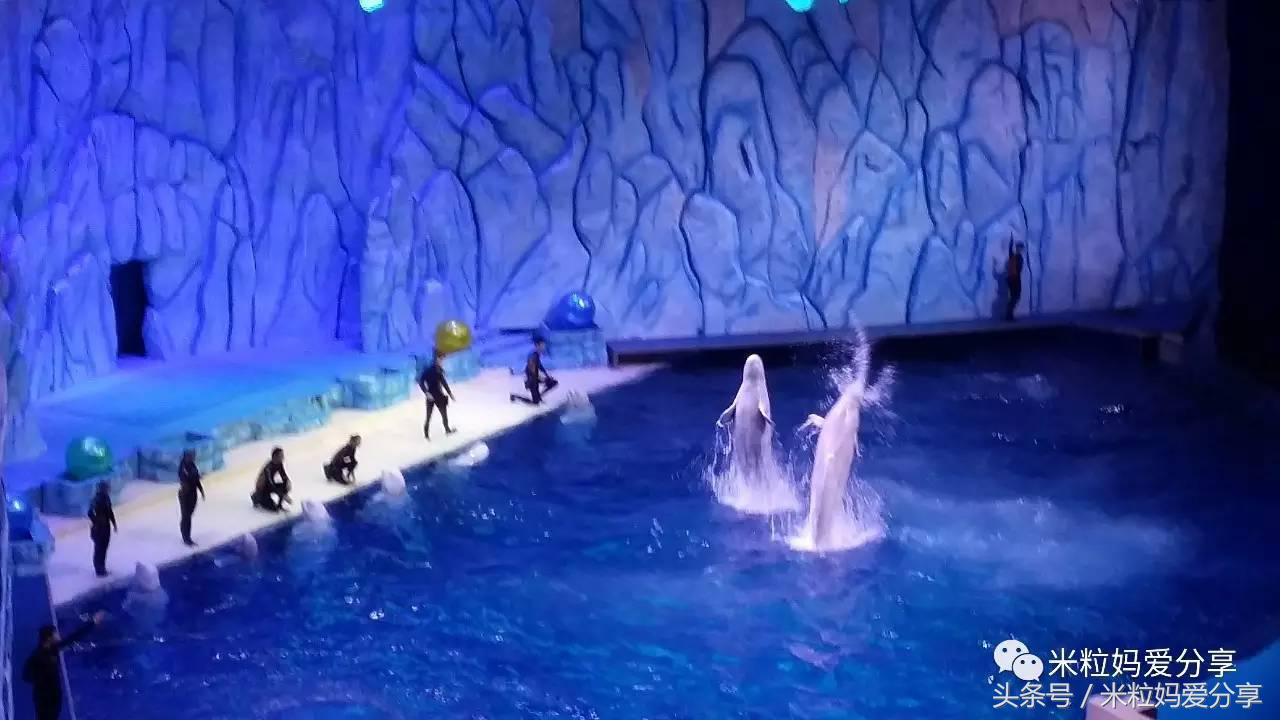 广州亲子游5天自由行不累,适合带宝宝去的亲子游