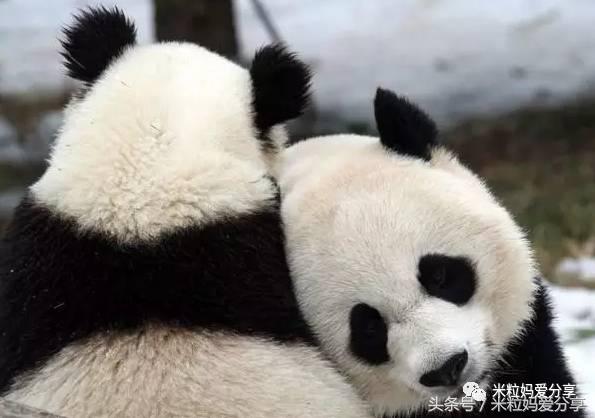 广州亲子游5天自由行不累,适合带宝宝去的亲子游