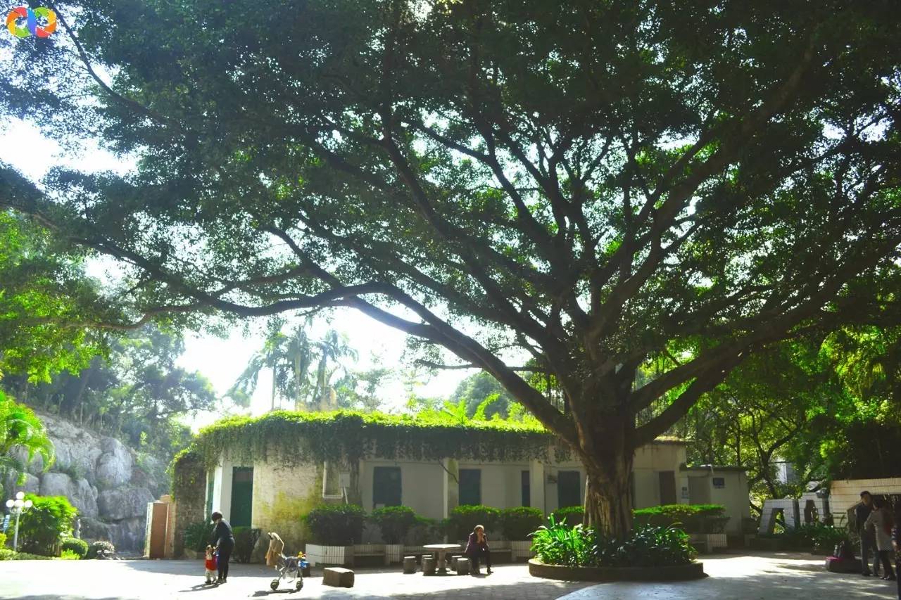 你愿意陪我走过春夏秋冬,你愿意陪我走一条很长的路吗中文