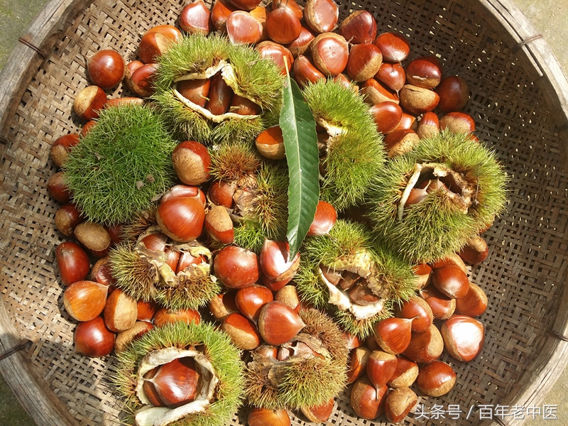 中医治疗女性尿频尿急的秘方,夜尿多中医方子