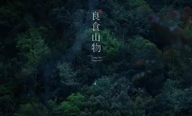 我心中的理想国,每个人心中都有一个理想国