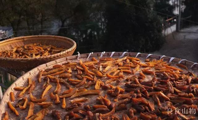 我心中的理想国,每个人心中都有一个理想国