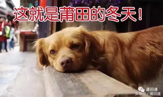 寒潮来袭莆田天气,莆田断崖式降温来袭