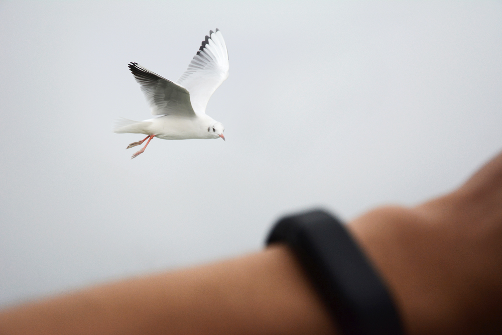 空中的朋友，你想要带这手环吗