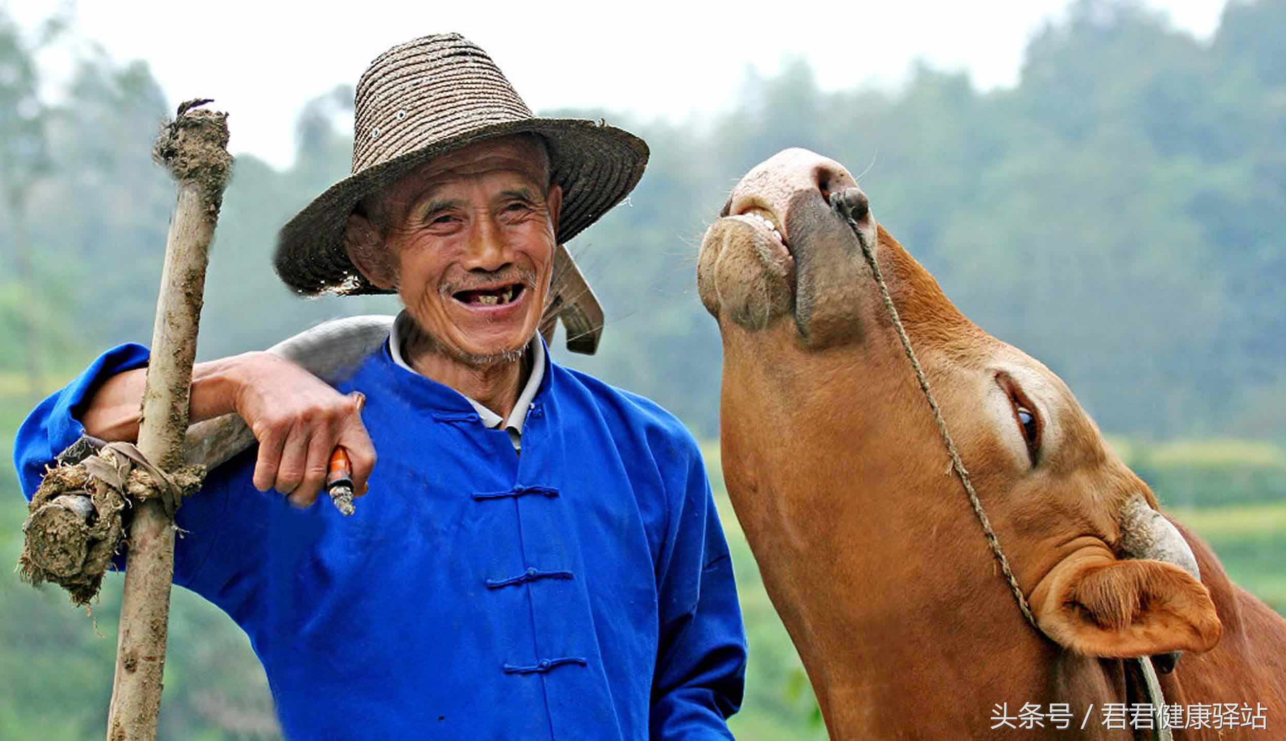 经常生气的十种病,经常生气的8种疾病