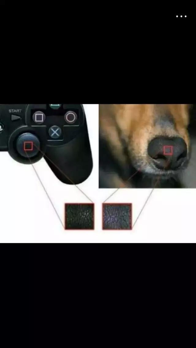 如果你发现你女朋友不是处女怎么办?