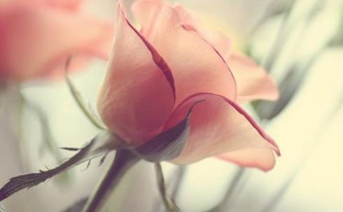 还记得那个抑郁自杀的走饭吗？让我们来重温下她的《走饭遗言》