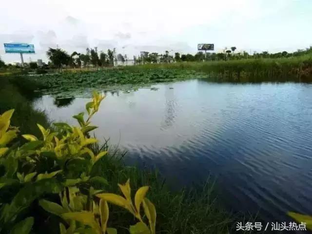 汕头的巨大变化,汕头变化太大啦