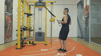 trx健身动作教程,明星都在练什么