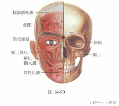 单纯性鼻炎鼻甲肥大,慢性鼻炎萎缩性鼻炎怎么导致的