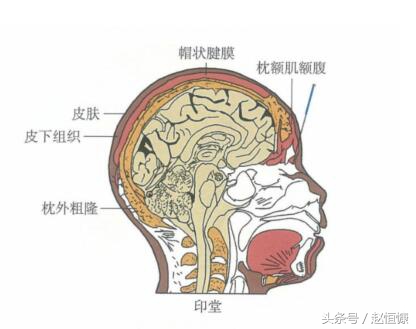 单纯性鼻炎鼻甲肥大,慢性鼻炎萎缩性鼻炎怎么导致的