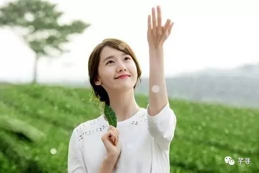 不止免签和免税店，还有各家爱豆，都在喊你去济州岛办婚礼！