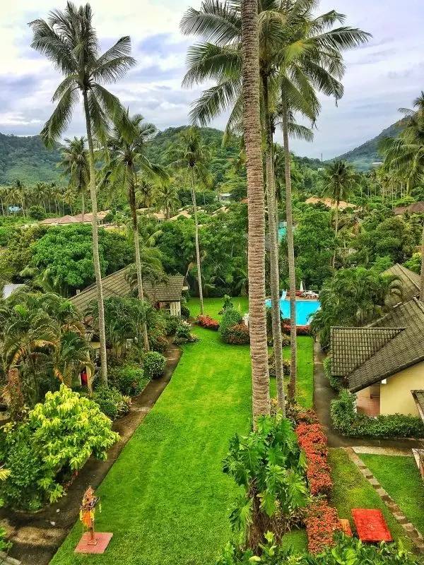 四川帅大叔暴改普吉岛民宿，用时4个月他活出了你最羡慕的样子