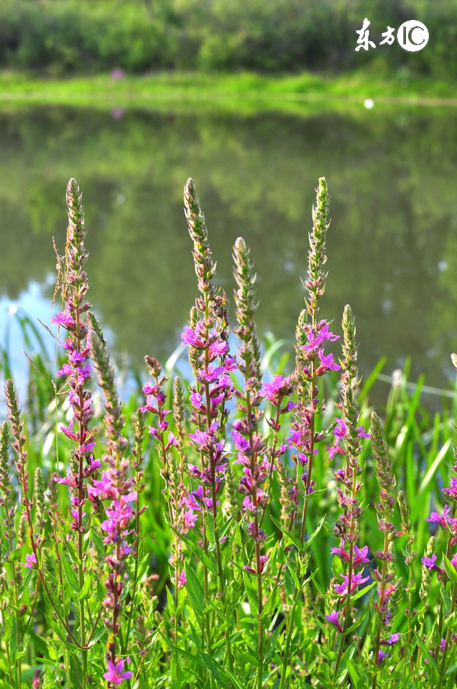 想要发财远离麻将桌,想要致富远离以下这三种人