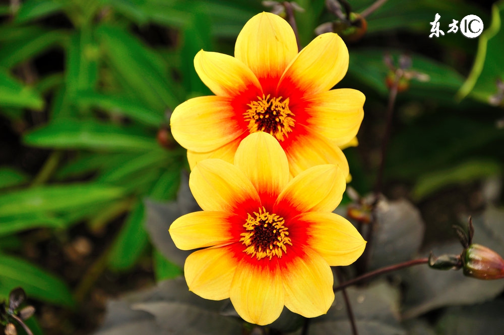 想要发财远离麻将桌,想要致富远离以下这三种人