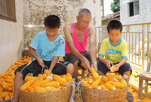 农村的孩子早当家大概意思,为什么说农村孩子早当家