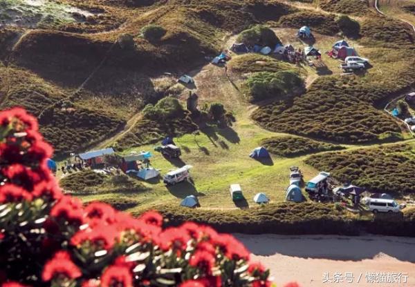 新西兰旅游驾车攻略图大全,新西兰自驾需要什么驾照