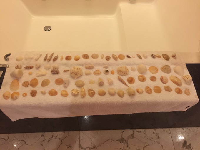 三亚蜜月酒店海棠湾,三亚适合度蜜月的地方推荐